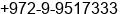 Fax number of Mr. Barak Schneidman at Ariel