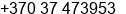 Phone number of Mr. Gintaras Stankevicius at Kaunas