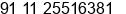 Phone number of Mr. PAUL at NEW DELHI