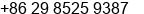 Phone number of Mr. Mickael Luo at Xi'an